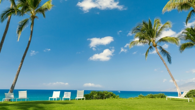 优发国际：园林绿化种植土属于几类土