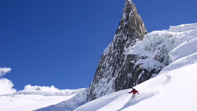 优发集团：园林绿化灌木的养护措施