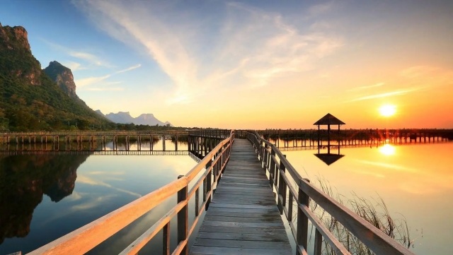 优发：园林绿化修剪的措施