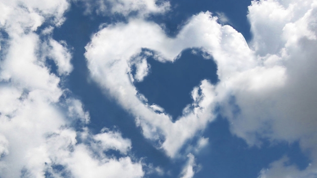 优发：园林绿化草坪是淡季吗