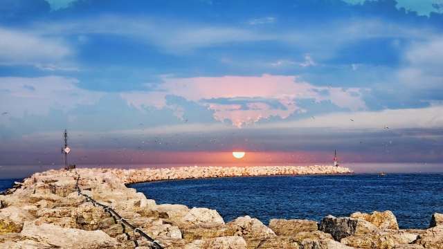 优发国际：园林绿化洽谈