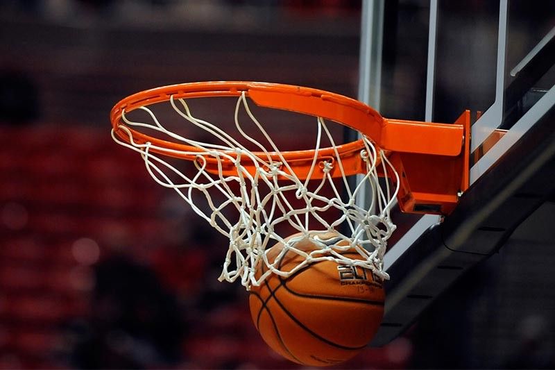 优发：园林绿化净增