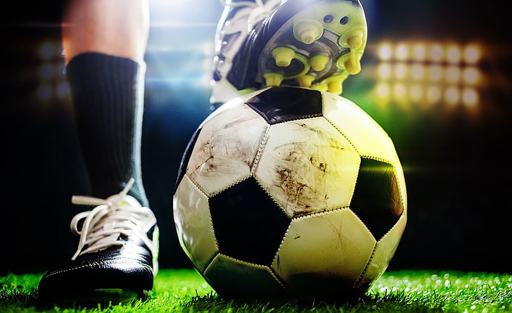 优发集团：园林绿化盆景护理